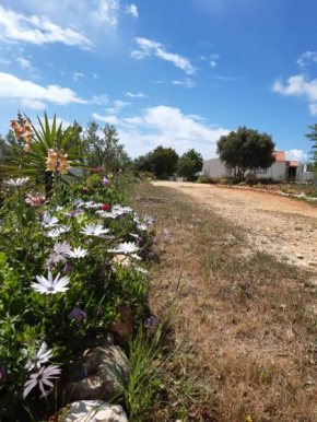 Quinta da Jolanda-Happy Family Farm